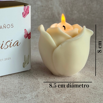 Rosa XL