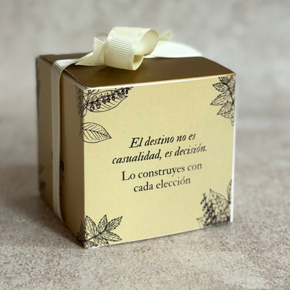 Elefante