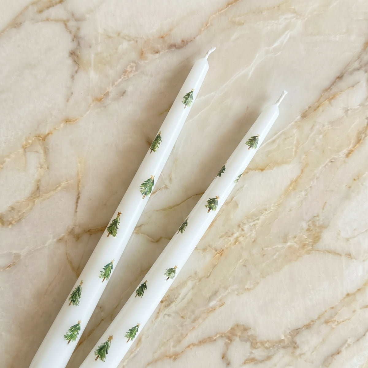 Winter Tree Tapers