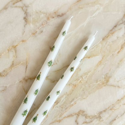 Winter Tree Tapers
